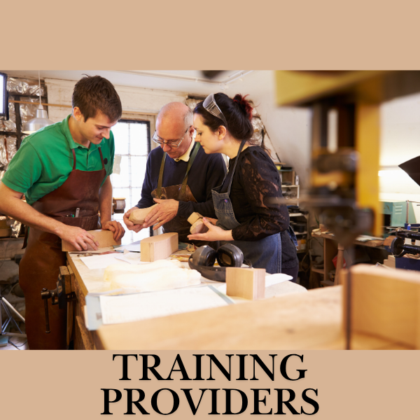 Two people learning about carpentry from a mentor. Text reads "Training Providers".